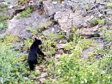 Waterton Glacier 086